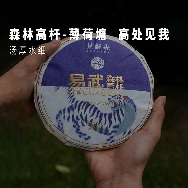 2023年薄荷塘易武森林高杆古树  普洱茶  生茶  200g/饼