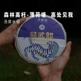 2023年薄荷塘易武森林高杆古树  普洱茶  生茶  200g/饼
