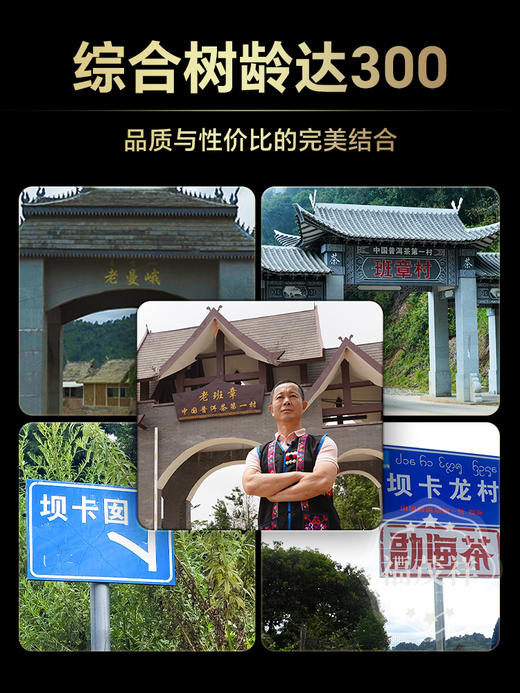 【班章】2024年云南勐海茶区普洱茶生茶300年古树茶饼200g 商品图1