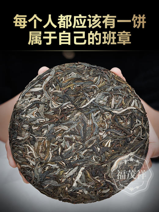 【班章】2024年云南勐海茶区普洱茶生茶300年古树茶饼200g 商品图3