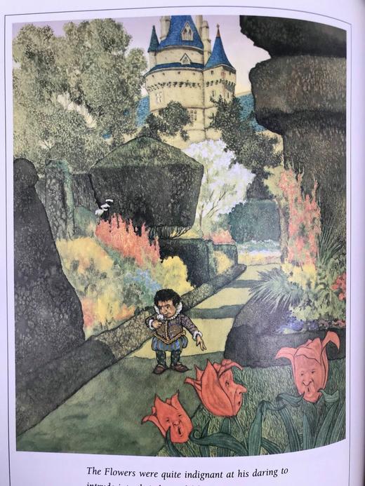 王尔德童话故事集 数十幅彩色插图 精装16开 商品图8