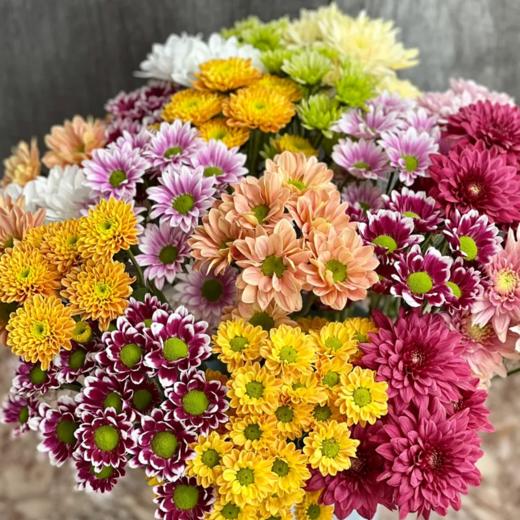 小菊 随机配色 10支/扎 颜色深浅略有差异 以实物为准 云南基地发货（价格已包含包装费用） 运费以实际为准，多退少补。 商品图0