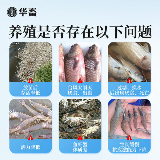 【社群专享】华畜应激宝500g抗应激促生长保苗抗氧化 商品图1