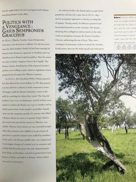 古罗马编年史 百余幅插图 精装大16开 商品图11