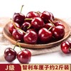 智利车厘子J（约2斤装） /份 商品缩略图0