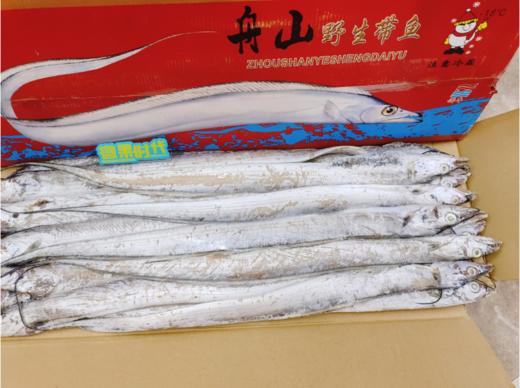 红箱舟山刀鱼一箱 商品图1