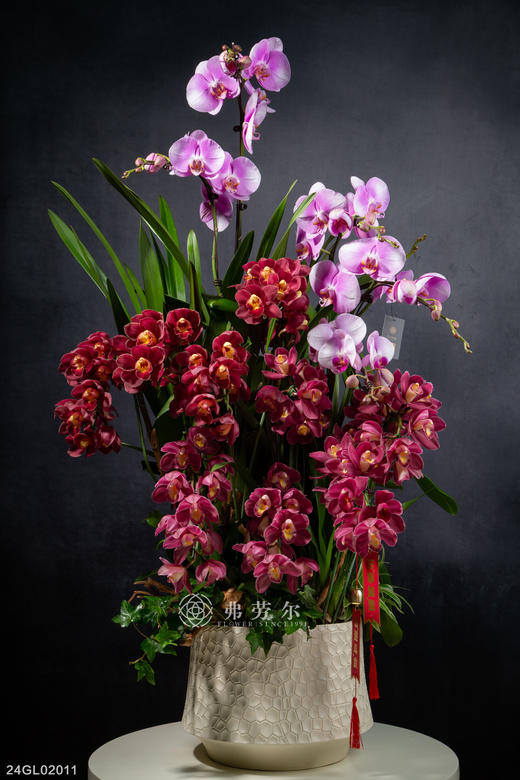 24GL02011 商品图0