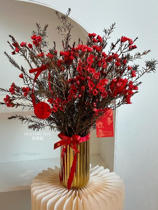 新年旺运  金喜新年  含花瓶 商品图3