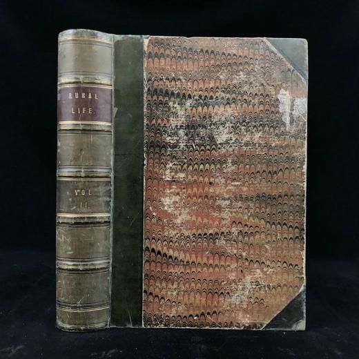 约19世纪后期 乡村生活（卷2） 数十幅版画插图 真皮精装16开 商品图0