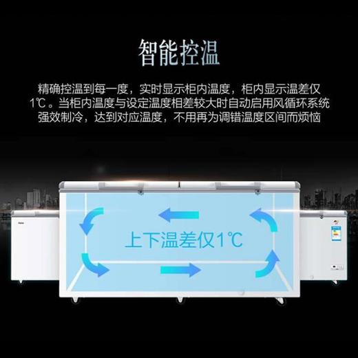 海尔（Haier）冰柜商用大容量429升 超低温冷藏冷冻雪柜 深冷速冻智能控温冷柜BC/BD-429HEM 商品图3