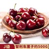 智利车厘子J 约500G /份 商品缩略图0