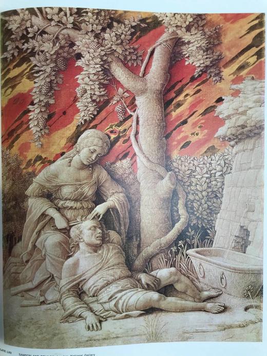 安德烈亚·曼特尼亚画作全集 64幅彩色243幅黑白插图 精装大16开 商品图8