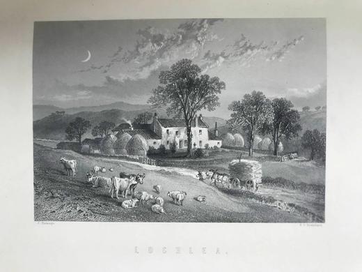 约19世纪后期 彭斯作品集（卷1） 数十幅版画插图 真皮精装16开 商品图13