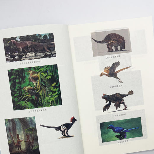 小学语文同步阅读书系 飞向蓝天的恐龙 商品图3