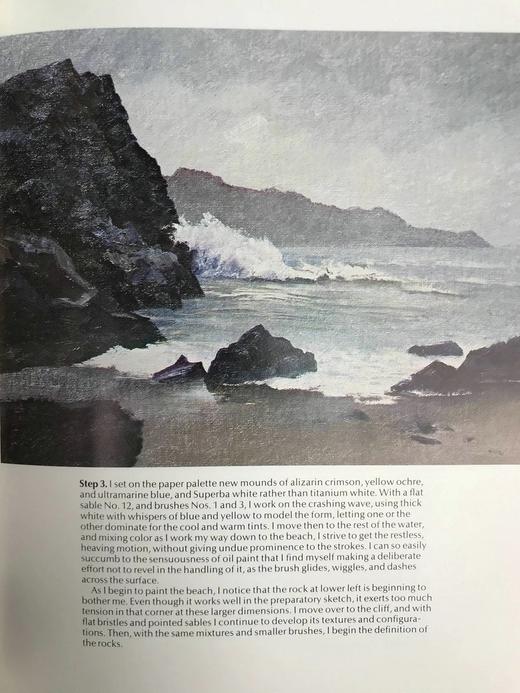 魔幻现实主义风景画（1977） 32幅彩色150幅黑白插图 精装16开 商品图7