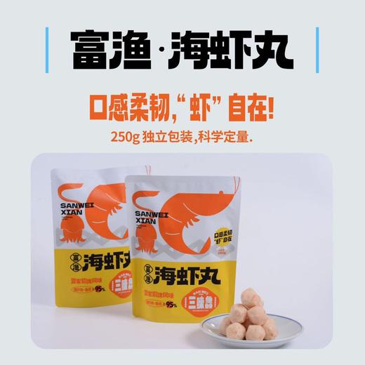 三味鱻全家福 墨鱼丸 海虾丸 西刀鱼丸 墨鱼干贝饼 鳗鱼包心丸 商品图3