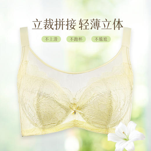 贝佳人“Marry you”全罩拼棉围文胸BW982318 商品图1