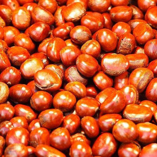 【10.9元/斤】糖炒栗子（0902177） 商品图0