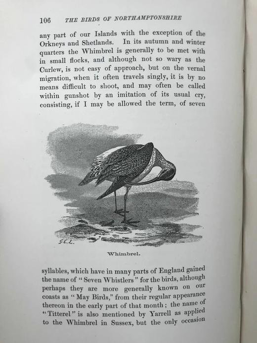1895年 北安普敦郡与近郊鸟类札记（卷2） 20幅插图 漆布精装16开 商品图12