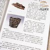 【绝版好书】雕刻之珍——明清木刻精選 商品缩略图1