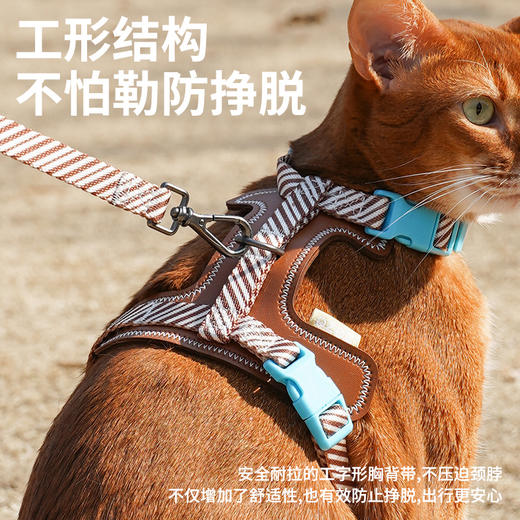 zeze皮制宠物胸背牵引绳-B  商品图2