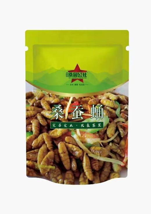 【桑园公社】 桑园好品大礼包 商品图4