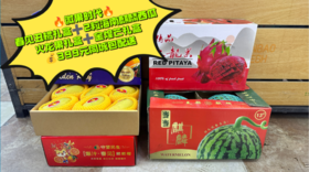 春见丑橘+2粒海南麒麟西瓜+火龙果礼盒+金煌芒套餐