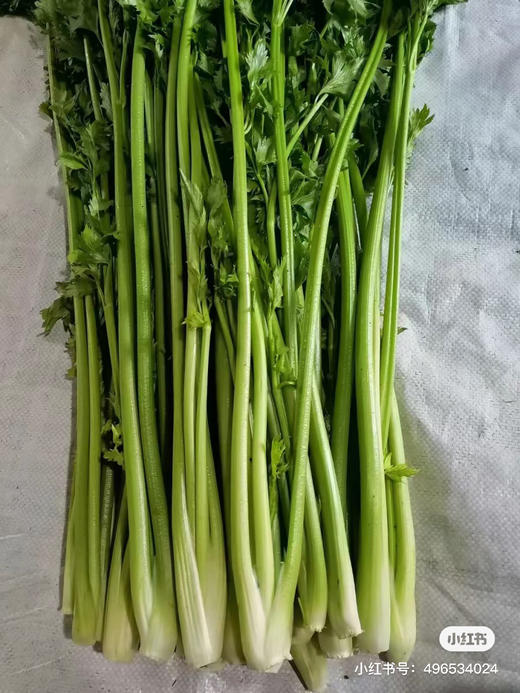 章丘特产水果鲍芹，喝牛奶长大的芹菜，清甜爽脆没有筋！基地选用两根半最嫩的芯，口感更好！2斤/箱 商品图3
