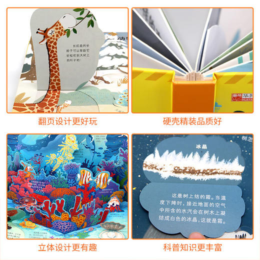 好玩的儿童百科立体翻翻书 商品图1