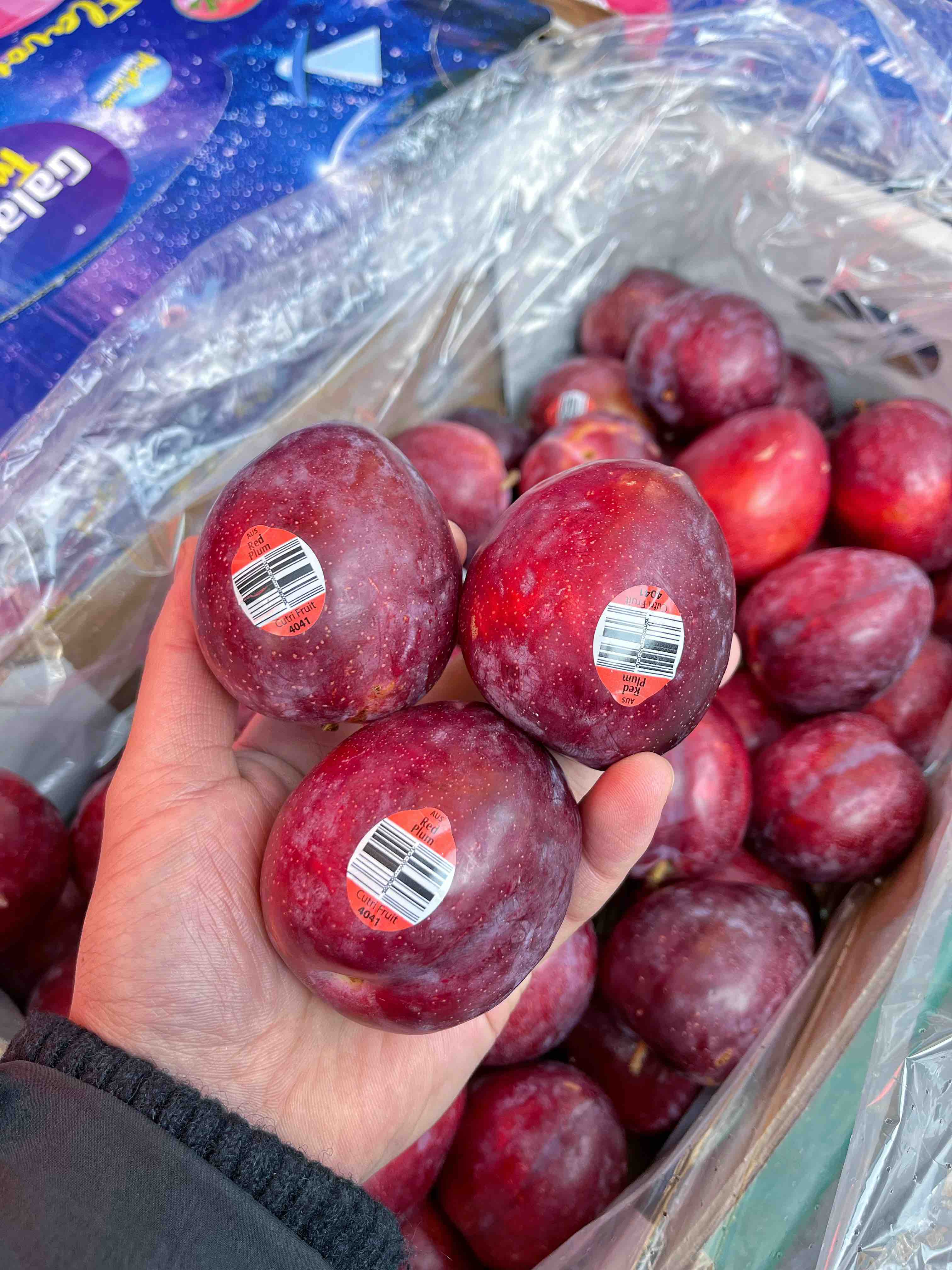 鸡心李澳洲鸡心李淡黄果肉纯甜李子中抗氧化剂含量高的惊人超级水果