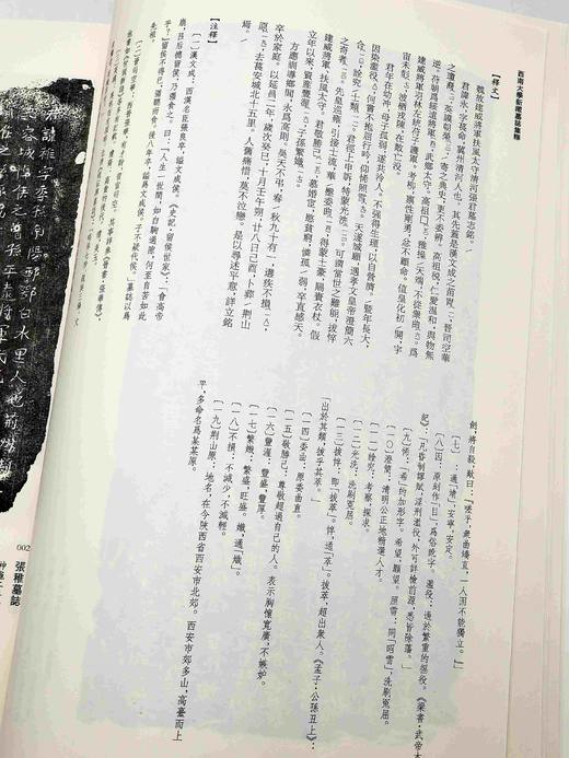 《西南大学新藏墓志集释》，8开两册，毛远明主编，凤凰出版社2018年一版一印，定价980，售价338元。品相9成。 商品图6