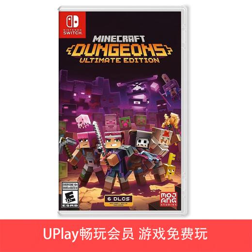 【畅玩卡可租】二手Switch游戏 我的世界地下城 终极版 中文版 商品图0