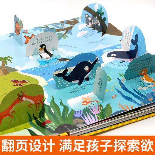 好玩的儿童百科立体翻翻书 商品图3