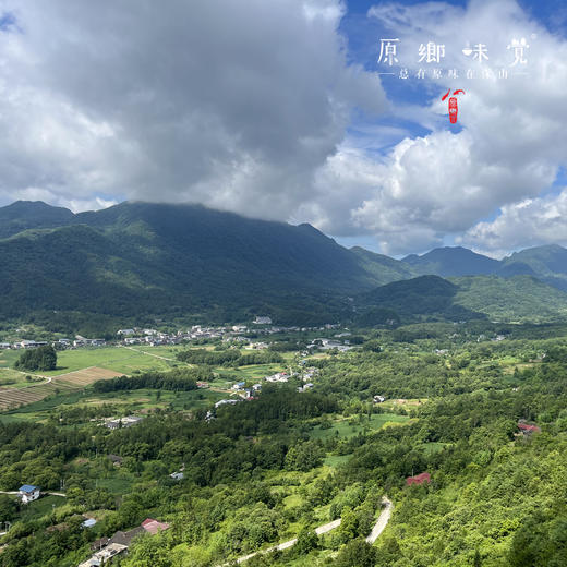 【3斤起发，满268元包邮】生态空山黄牛肉（成都仓库-顺丰陆运 ）| 多种部位，来自四川通江空山国家森林公园，养殖者：岳斌【原乡直采】 商品图6