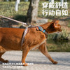 zeze皮制宠物胸背牵引绳-B  商品缩略图4