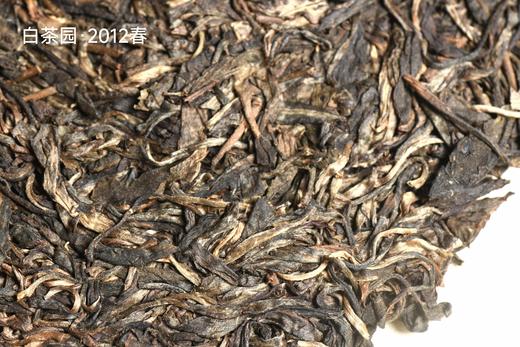 彩农茶·清客普洱丨2012春弯弓白茶园（8克） 商品图3
