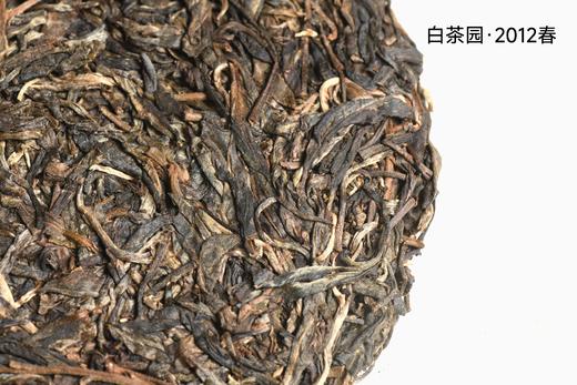 彩农茶·清客普洱丨2012春弯弓白茶园（8克） 商品图1