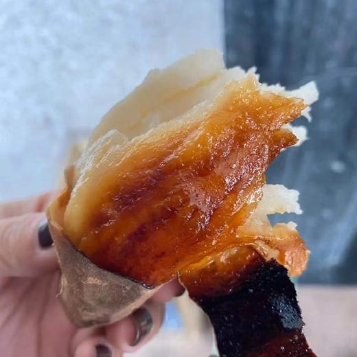 内蒙 黑土地 蜜薯 商品图0