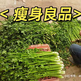 章丘特产水果鲍芹，喝牛奶长大的芹菜，清甜爽脆没有筋！基地选用两根半最嫩的芯，口感更好！2斤/箱