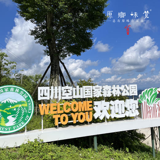 【3斤起发，满268元包邮】生态空山黄牛肉（成都仓库-顺丰陆运 ）| 多种部位，来自四川通江空山国家森林公园，养殖者：岳斌【原乡直采】 商品图14