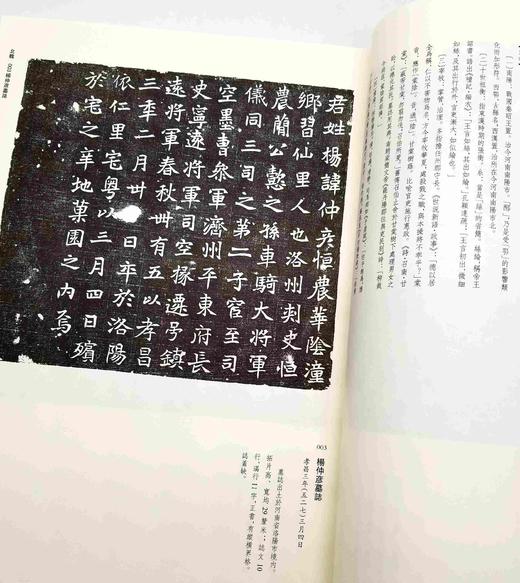 《西南大学新藏墓志集释》，8开两册，毛远明主编，凤凰出版社2018年一版一印，定价980，售价338元。品相9成。 商品图8