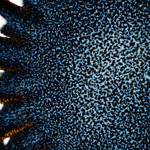 龙德堂陶艺 《菊花三弄》 星月天目茶器 (库存咨询客服) 商品图4