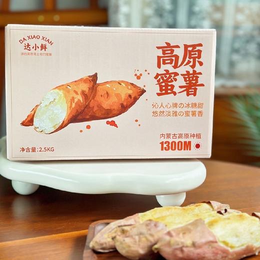 内蒙 黑土地 蜜薯 商品图2