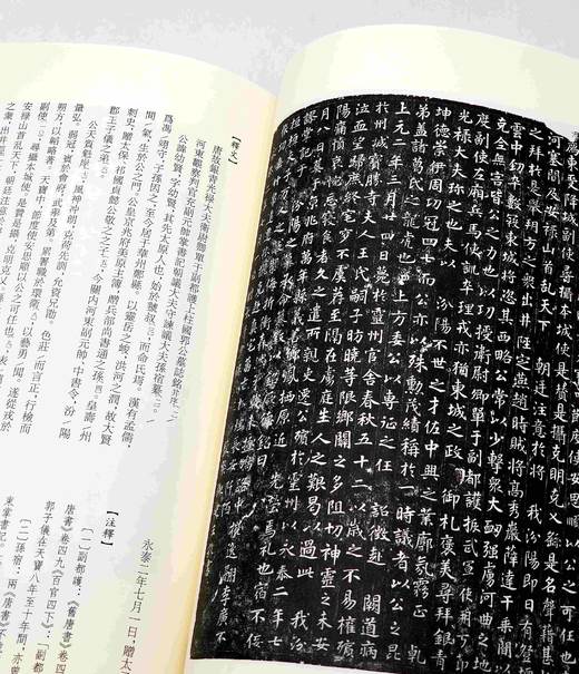 《西南大学新藏墓志集释》，8开两册，毛远明主编，凤凰出版社2018年一版一印，定价980，售价338元。品相9成。 商品图12