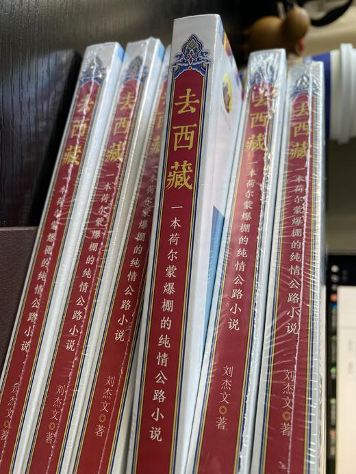 杰文处女书 《去西藏》 一本荷尔蒙爆棚的纯情公路小说 商品图2