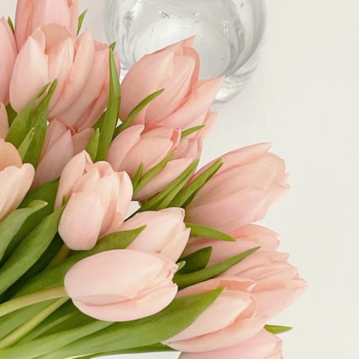 郁金香丨进口水蜜桃丨10支 商品图2