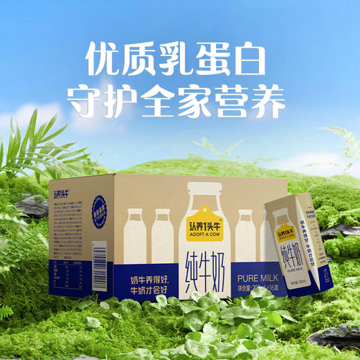 认养一头牛 全脂纯牛奶 200ml*16 商品图0