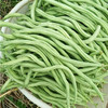 无筋豆【约500g】 商品缩略图1