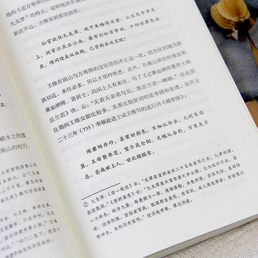 王维传 张清华 著 传记 商品图2