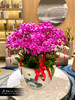 28支【富贵人生】蝴蝶兰 商品缩略图0